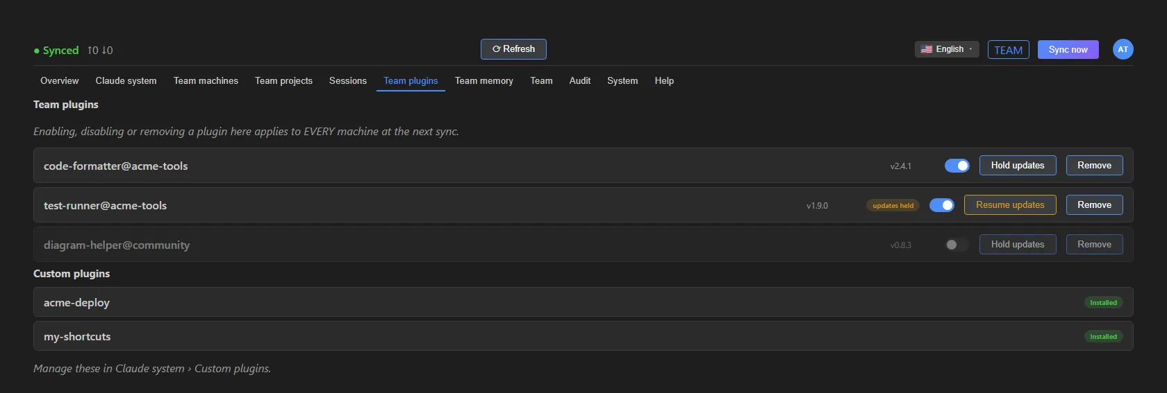 The Team plugins tab: three plugins with version, switch, Hold updates and Remove, one with the updates held label, and the custom plugins below